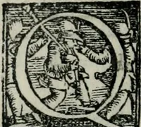 An illustration from Trattato dell'imbrigliare, maneggiare, et ferrare cavalli : diviso in tre parti, con alcvni discorsi sopra la natura di caualli, con disegni di briglie, maneggi, & di caualieri a cauallo, & de ferri d'esso (1556)