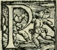 An illustration from Trattato dell'imbrigliare, maneggiare, et ferrare cavalli : diviso in tre parti, con alcvni discorsi sopra la natura di caualli, con disegni di briglie, maneggi, & di caualieri a cauallo, & de ferri d'esso (1556)