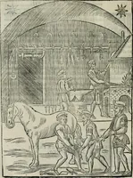An illustration from Trattato dell'imbrigliare, maneggiare, et ferrare cavalli : diviso in tre parti, con alcvni discorsi sopra la natura di caualli, con disegni di briglie, maneggi, & di caualieri a cauallo, & de ferri d'esso (1556)