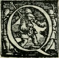 An illustration from Trattato dell'imbrigliare, maneggiare, et ferrare cavalli : diviso in tre parti, con alcvni discorsi sopra la natura di caualli, con disegni di briglie, maneggi, & di caualieri a cauallo, & de ferri d'esso (1556)