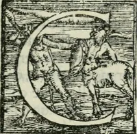 An illustration from Trattato dell'imbrigliare, maneggiare, et ferrare cavalli : diviso in tre parti, con alcvni discorsi sopra la natura di caualli, con disegni di briglie, maneggi, & di caualieri a cauallo, & de ferri d'esso (1556)