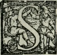 An illustration from Trattato dell'imbrigliare, maneggiare, et ferrare cavalli : diviso in tre parti, con alcvni discorsi sopra la natura di caualli, con disegni di briglie, maneggi, & di caualieri a cauallo, & de ferri d'esso (1556)