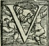 An illustration from Trattato dell'imbrigliare, maneggiare, et ferrare cavalli : diviso in tre parti, con alcvni discorsi sopra la natura di caualli, con disegni di briglie, maneggi, & di caualieri a cauallo, & de ferri d'esso (1556)