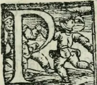 An illustration from Trattato dell'imbrigliare, maneggiare, et ferrare cavalli : diviso in tre parti, con alcvni discorsi sopra la natura di caualli, con disegni di briglie, maneggi, & di caualieri a cauallo, & de ferri d'esso (1556)