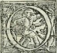 An illustration from Trattato dell'imbrigliare, maneggiare, et ferrare cavalli : diviso in tre parti, con alcvni discorsi sopra la natura di caualli, con disegni di briglie, maneggi, & di caualieri a cauallo, & de ferri d'esso (1556)