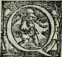 An illustration from Trattato dell'imbrigliare, maneggiare, et ferrare cavalli : diviso in tre parti, con alcvni discorsi sopra la natura di caualli, con disegni di briglie, maneggi, & di caualieri a cauallo, & de ferri d'esso (1556)