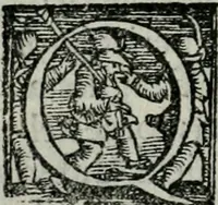 An illustration from Trattato dell'imbrigliare, maneggiare, et ferrare cavalli : diviso in tre parti, con alcvni discorsi sopra la natura di caualli, con disegni di briglie, maneggi, & di caualieri a cauallo, & de ferri d'esso (1556)