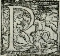 An illustration from Trattato dell'imbrigliare, maneggiare, et ferrare cavalli : diviso in tre parti, con alcvni discorsi sopra la natura di caualli, con disegni di briglie, maneggi, & di caualieri a cauallo, & de ferri d'esso (1556)