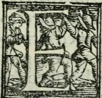An illustration from Trattato dell'imbrigliare, maneggiare, et ferrare cavalli : diviso in tre parti, con alcvni discorsi sopra la natura di caualli, con disegni di briglie, maneggi, & di caualieri a cauallo, & de ferri d'esso (1556)
