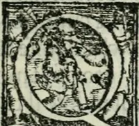 An illustration from Trattato dell'imbrigliare, maneggiare, et ferrare cavalli : diviso in tre parti, con alcvni discorsi sopra la natura di caualli, con disegni di briglie, maneggi, & di caualieri a cauallo, & de ferri d'esso (1556)