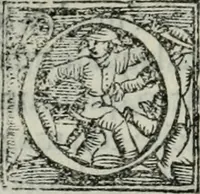 An illustration from Trattato dell'imbrigliare, maneggiare, et ferrare cavalli : diviso in tre parti, con alcvni discorsi sopra la natura di caualli, con disegni di briglie, maneggi, & di caualieri a cauallo, & de ferri d'esso (1556)