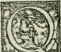 An illustration from Trattato dell'imbrigliare, maneggiare, et ferrare cavalli : diviso in tre parti, con alcvni discorsi sopra la natura di caualli, con disegni di briglie, maneggi, & di caualieri a cauallo, & de ferri d'esso (1556)