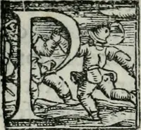 An illustration from Trattato dell'imbrigliare, maneggiare, et ferrare cavalli : diviso in tre parti, con alcvni discorsi sopra la natura di caualli, con disegni di briglie, maneggi, & di caualieri a cauallo, & de ferri d'esso (1556)