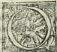 An illustration from Trattato dell'imbrigliare, maneggiare, et ferrare cavalli : diviso in tre parti, con alcvni discorsi sopra la natura di caualli, con disegni di briglie, maneggi, & di caualieri a cauallo, & de ferri d'esso (1556)