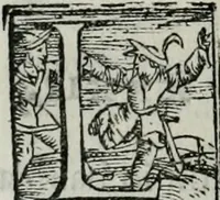 An illustration from Trattato dell'imbrigliare, maneggiare, et ferrare cavalli : diviso in tre parti, con alcvni discorsi sopra la natura di caualli, con disegni di briglie, maneggi, & di caualieri a cauallo, & de ferri d'esso (1556)