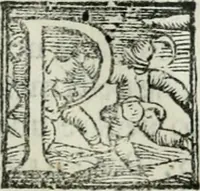 Picture 150 of 171 from Trattato dell'imbrigliare, maneggiare, et ferrare cavalli : diviso in tre parti, con alcvni discorsi sopra la natura di caualli, con disegni di briglie, maneggi, & di caualieri a cauallo, & de ferri d'esso (1556), leaf 170