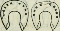 Picture 156 of 171 from Trattato dell'imbrigliare, maneggiare, et ferrare cavalli : diviso in tre parti, con alcvni discorsi sopra la natura di caualli, con disegni di briglie, maneggi, & di caualieri a cauallo, & de ferri d'esso (1556), leaf 174