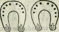 An illustration from Trattato dell'imbrigliare, maneggiare, et ferrare cavalli : diviso in tre parti, con alcvni discorsi sopra la natura di caualli, con disegni di briglie, maneggi, & di caualieri a cauallo, & de ferri d'esso (1556)