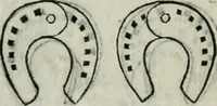 Picture 161 of 171 from Trattato dell'imbrigliare, maneggiare, et ferrare cavalli : diviso in tre parti, con alcvni discorsi sopra la natura di caualli, con disegni di briglie, maneggi, & di caualieri a cauallo, & de ferri d'esso (1556), leaf 175
