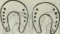 An illustration from Trattato dell'imbrigliare, maneggiare, et ferrare cavalli : diviso in tre parti, con alcvni discorsi sopra la natura di caualli, con disegni di briglie, maneggi, & di caualieri a cauallo, & de ferri d'esso (1556)