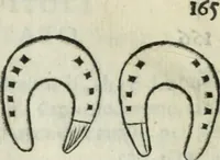 An illustration from Trattato dell'imbrigliare, maneggiare, et ferrare cavalli : diviso in tre parti, con alcvni discorsi sopra la natura di caualli, con disegni di briglie, maneggi, & di caualieri a cauallo, & de ferri d'esso (1556)