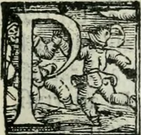 An illustration from Trattato dell'imbrigliare, maneggiare, et ferrare cavalli : diviso in tre parti, con alcvni discorsi sopra la natura di caualli, con disegni di briglie, maneggi, & di caualieri a cauallo, & de ferri d'esso (1556)