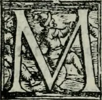 Picture 12 of 171 from Trattato dell'imbrigliare, maneggiare, et ferrare cavalli : diviso in tre parti, con alcvni discorsi sopra la natura di caualli, con disegni di briglie, maneggi, & di caualieri a cauallo, & de ferri d'esso (1556), leaf 19