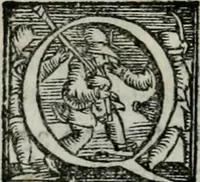 An illustration from Trattato dell'imbrigliare, maneggiare, et ferrare cavalli : diviso in tre parti, con alcvni discorsi sopra la natura di caualli, con disegni di briglie, maneggi, & di caualieri a cauallo, & de ferri d'esso (1556)