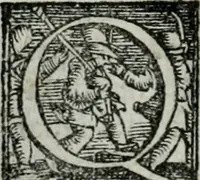 An illustration from Trattato dell'imbrigliare, maneggiare, et ferrare cavalli : diviso in tre parti, con alcvni discorsi sopra la natura di caualli, con disegni di briglie, maneggi, & di caualieri a cauallo, & de ferri d'esso (1556)