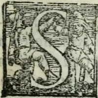 An illustration from Trattato dell'imbrigliare, maneggiare, et ferrare cavalli : diviso in tre parti, con alcvni discorsi sopra la natura di caualli, con disegni di briglie, maneggi, & di caualieri a cauallo, & de ferri d'esso (1556)