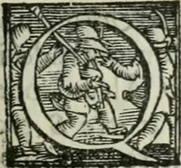 An illustration from Trattato dell'imbrigliare, maneggiare, et ferrare cavalli : diviso in tre parti, con alcvni discorsi sopra la natura di caualli, con disegni di briglie, maneggi, & di caualieri a cauallo, & de ferri d'esso (1556)