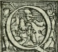 An illustration from Trattato dell'imbrigliare, maneggiare, et ferrare cavalli : diviso in tre parti, con alcvni discorsi sopra la natura di caualli, con disegni di briglie, maneggi, & di caualieri a cauallo, & de ferri d'esso (1556)