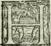 An illustration from Trattato dell'imbrigliare, maneggiare, et ferrare cavalli : diviso in tre parti, con alcvni discorsi sopra la natura di caualli, con disegni di briglie, maneggi, & di caualieri a cauallo, & de ferri d'esso (1556)