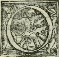 An illustration from Trattato dell'imbrigliare, maneggiare, et ferrare cavalli : diviso in tre parti, con alcvni discorsi sopra la natura di caualli, con disegni di briglie, maneggi, & di caualieri a cauallo, & de ferri d'esso (1556)