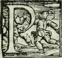 An illustration from Trattato dell'imbrigliare, maneggiare, et ferrare cavalli : diviso in tre parti, con alcvni discorsi sopra la natura di caualli, con disegni di briglie, maneggi, & di caualieri a cauallo, & de ferri d'esso (1556)