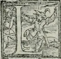 An illustration from Trattato dell'imbrigliare, maneggiare, et ferrare cavalli : diviso in tre parti, con alcvni discorsi sopra la natura di caualli, con disegni di briglie, maneggi, & di caualieri a cauallo, & de ferri d'esso (1556)