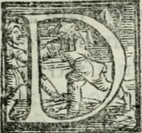 An illustration from Trattato dell'imbrigliare, maneggiare, et ferrare cavalli : diviso in tre parti, con alcvni discorsi sopra la natura di caualli, con disegni di briglie, maneggi, & di caualieri a cauallo, & de ferri d'esso (1556)