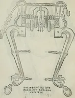 An illustration from Trattato dell'imbrigliare, maneggiare, et ferrare cavalli : diviso in tre parti, con alcvni discorsi sopra la natura di caualli, con disegni di briglie, maneggi, & di caualieri a cauallo, & de ferri d'esso (1556)