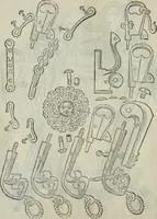 An illustration from Trattato dell'imbrigliare, maneggiare, et ferrare cavalli : diviso in tre parti, con alcvni discorsi sopra la natura di caualli, con disegni di briglie, maneggi, & di caualieri a cauallo, & de ferri d'esso (1556)