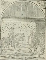 An illustration from Trattato dell'imbrigliare, maneggiare, et ferrare cavalli : diviso in tre parti, con alcvni discorsi sopra la natura di caualli, con disegni di briglie, maneggi, & di caualieri a cauallo, & de ferri d'esso (1556)