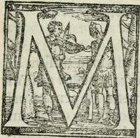 An illustration from Trattato dell'imbrigliare, maneggiare, et ferrare cavalli : diviso in tre parti, con alcvni discorsi sopra la natura di caualli, con disegni di briglie, maneggi, & di caualieri a cauallo, & de ferri d'esso (1556)