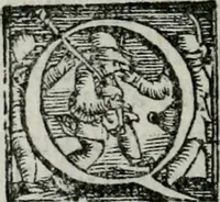 An illustration from Trattato dell'imbrigliare, maneggiare, et ferrare cavalli : diviso in tre parti, con alcvni discorsi sopra la natura di caualli, con disegni di briglie, maneggi, & di caualieri a cauallo, & de ferri d'esso (1556)
