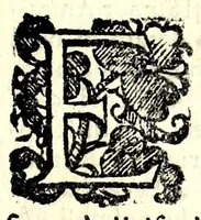 An illustration from Trattato dell'inondatione del Tevere, di Iacomo Castiglione romano : doue si discorre delle caggioni, e remedij suoi, e si dichiarano alcune antichità, e luoghi di autori vecchi : con vna relatione del diluuio di Roma del 1598 : raccolta da molti diluuij dalla fondatione sua, & pietre poste per segni di essi in diuerse parti di Roma ; con le sue altezze, e misure : e con vn modo stvpendo col qvale si saluorono molte famiglie in Castel Sãt'Angelo (1599)