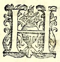 An illustration from Trattato dell'inondatione del Tevere, di Iacomo Castiglione romano : doue si discorre delle caggioni, e remedij suoi, e si dichiarano alcune antichità, e luoghi di autori vecchi : con vna relatione del diluuio di Roma del 1598 : raccolta da molti diluuij dalla fondatione sua, & pietre poste per segni di essi in diuerse parti di Roma ; con le sue altezze, e misure : e con vn modo stvpendo col qvale si saluorono molte famiglie in Castel Sãt'Angelo (1599)