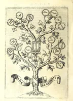 An illustration from Trattato dello schermo d'Angelo Vizani dal Montone bolognese : nel quale discorre intorno all'eccellenza dell'armi, & delle lettere, & intorno all'offesa, & difesa : et insegna vno schermo di spada sola sicuro, e singolare : con vna tauola copiosissma (1588)