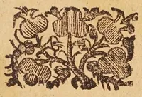 An illustration from Trattato del R.P.M. Paolo Antonio Foscarini ... della divinatione naturale cosmologica, ouero, De' pronostici e presagii naturali, delle mutationi de tempi &c (1615)