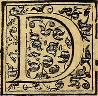 An illustration from Trattato di Christoforo Acosta Africano medico, & chirurgo della historia, natura, et virtu delle droghe medicinali, & altri semplici rarissimi, che vengono portati dalle Indie Orientali in Europa : con le figures delle piante ritratte, & disegnate dal viuo poste a' luoghi proprij ; nuouamente recato dalla Spagnuola nella nostra lingua .. (1585)