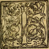 An illustration from Trattato di Christoforo Acosta Africano medico, & chirurgo della historia, natura, et virtu delle droghe medicinali, & altri semplici rarissimi, che vengono portati dalle Indie Orientali in Europa : con le figures delle piante ritratte, & disegnate dal viuo poste a' luoghi proprij ; nuouamente recato dalla Spagnuola nella nostra lingua .. (1585)