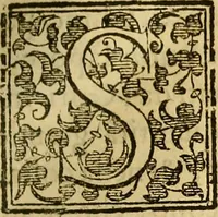 An illustration from Trattato di Christoforo Acosta Africano medico, & chirurgo della historia, natura, et virtu delle droghe medicinali, & altri semplici rarissimi, che vengono portati dalle Indie Orientali in Europa : con le figures delle piante ritratte, & disegnate dal viuo poste a' luoghi proprij ; nuouamente recato dalla Spagnuola nella nostra lingua .. (1585)