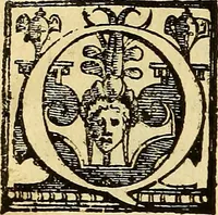 Picture 32 of 122 from Trattato di Christoforo Acosta Africano medico, & chirurgo della historia, natura, et virtu delle droghe medicinali, & altri semplici rarissimi, che vengono portati dalle Indie Orientali in Europa : con le figures delle piante ritratte, & disegnate dal viuo poste a' luoghi proprij ; nuouamente recato dalla Spagnuola nella nostra lingua .. (1585), leaf 117